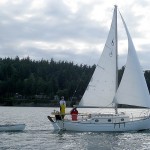 Finch in Hale Passage